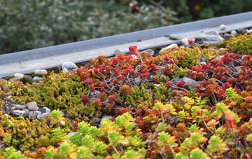 the cost of Kippings Cross green roof installation