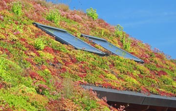 Kippings Cross living roof systems